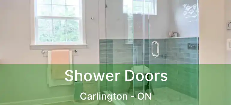 Shower Doors Carlington - ON