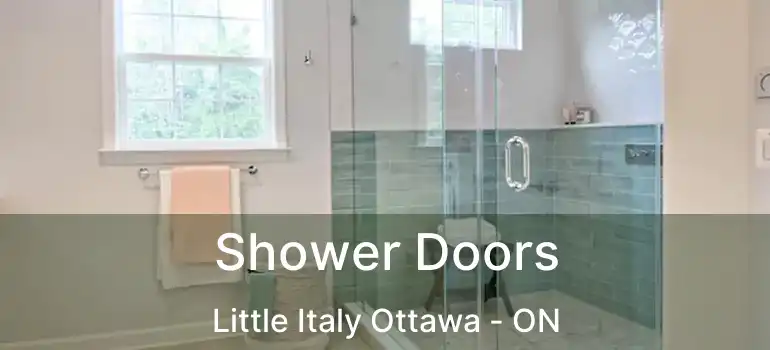 Shower Doors Little Italy Ottawa - ON