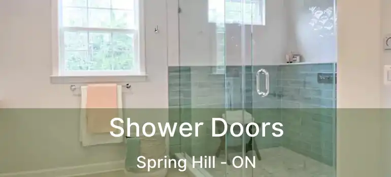 Shower Doors Spring Hill - ON