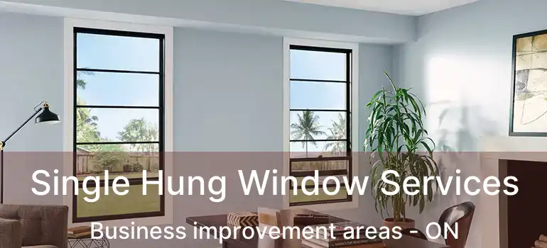 Single Hung Window Services Business improvement areas - ON