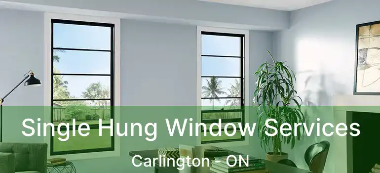 Single Hung Window Services Carlington - ON