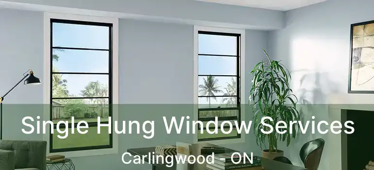 Single Hung Window Services Carlingwood - ON