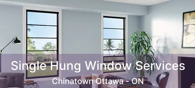 Single Hung Window Services Chinatown Ottawa - ON