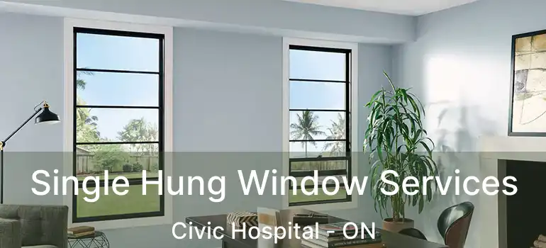 Single Hung Window Services Civic Hospital - ON