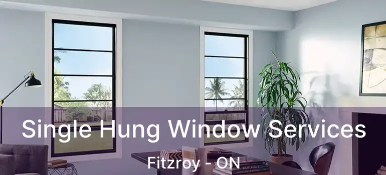 Single Hung Window Services Fitzroy - ON