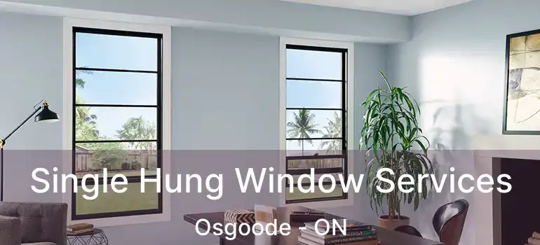 Single Hung Window Services Osgoode - ON