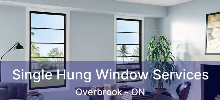 Single Hung Window Services Overbrook - ON