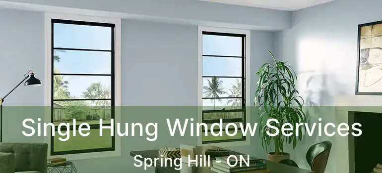 Single Hung Window Services Spring Hill - ON