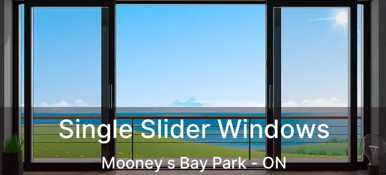Single Slider Windows Mooney s Bay Park - ON