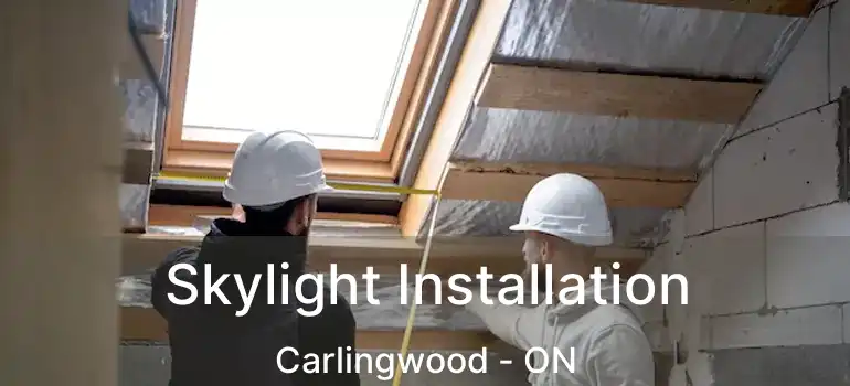 Skylight Installation Carlingwood - ON
