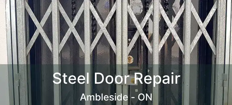 Steel Door Repair Ambleside - ON
