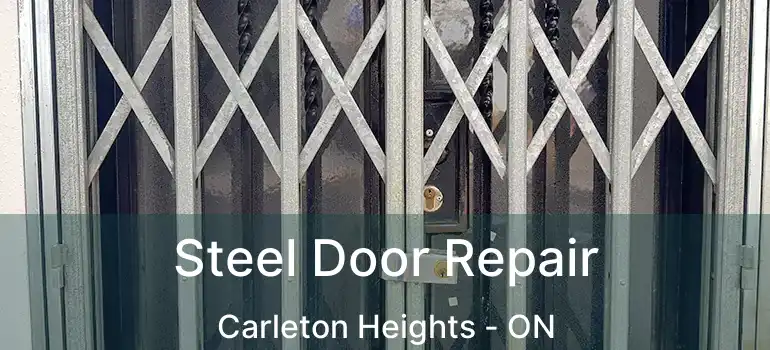  Steel Door Repair Carleton Heights - ON