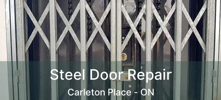  Steel Door Repair Carleton Place - ON