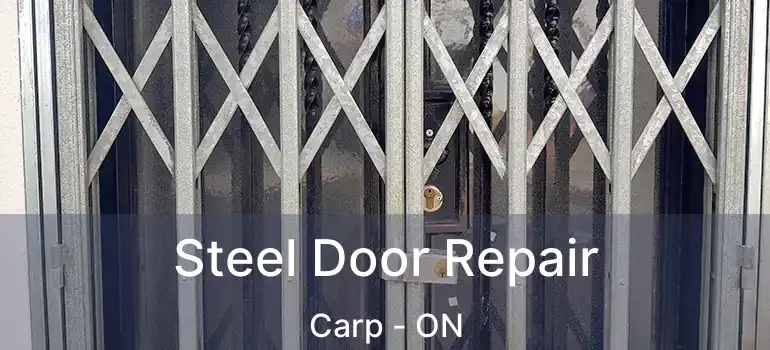 Steel Door Repair Carp - ON