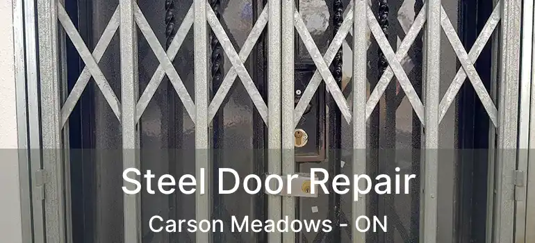 Steel Door Repair Carson Meadows - ON