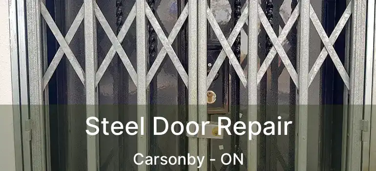 Steel Door Repair Carsonby - ON