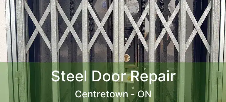  Steel Door Repair Centretown - ON