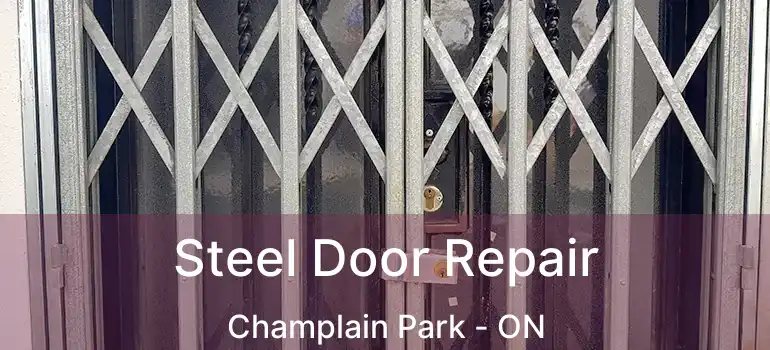 Steel Door Repair Champlain Park - ON
