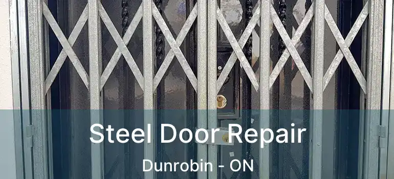  Steel Door Repair Dunrobin - ON
