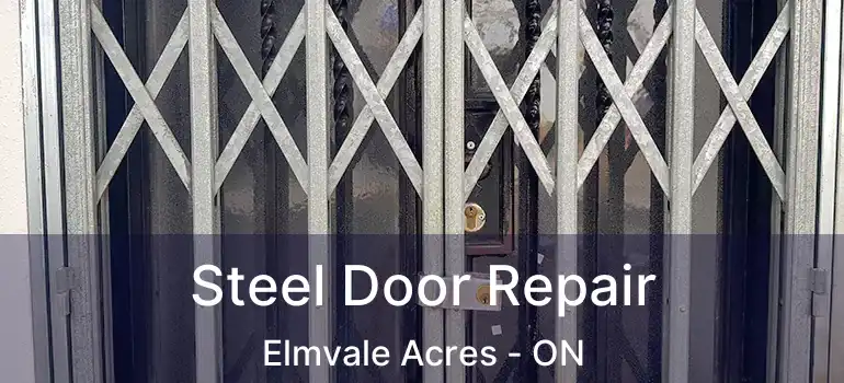 Steel Door Repair Elmvale Acres - ON