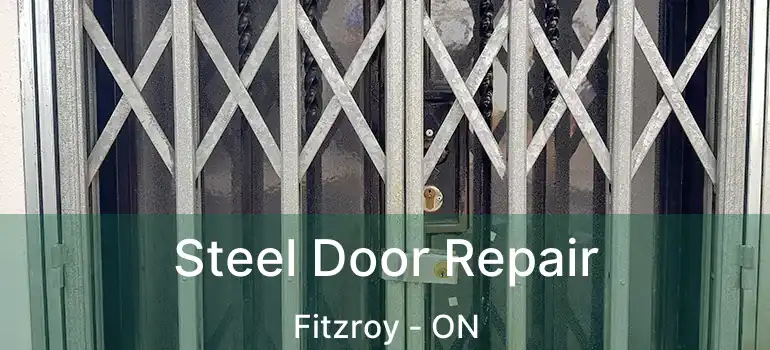  Steel Door Repair Fitzroy - ON