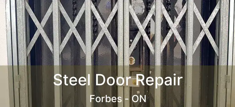 Steel Door Repair Forbes - ON