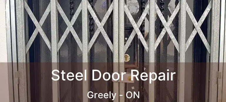 Steel Door Repair Greely - ON