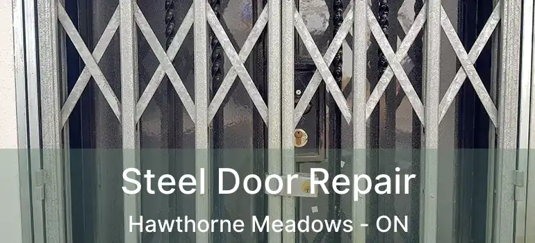 Steel Door Repair Hawthorne Meadows - ON