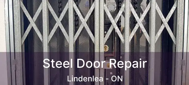 Steel Door Repair Lindenlea - ON