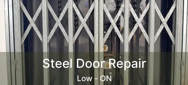 Steel Door Repair Low - ON