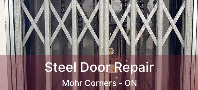 Steel Door Repair Mohr Corners - ON
