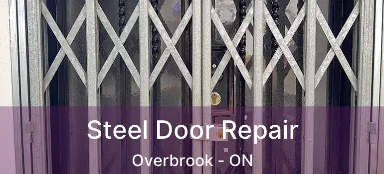 Steel Door Repair Overbrook - ON
