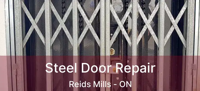 Steel Door Repair Reids Mills - ON