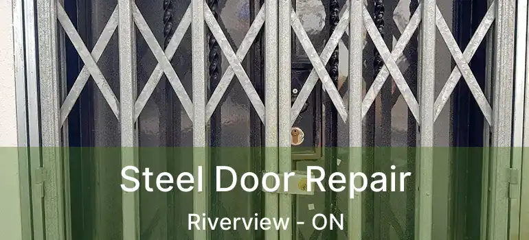 Steel Door Repair Riverview - ON