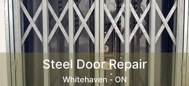 Steel Door Repair Whitehaven - ON