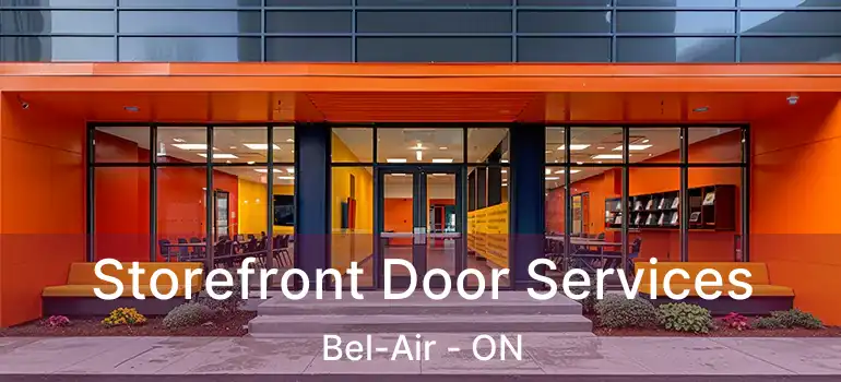  Storefront Door Services Bel-Air - ON