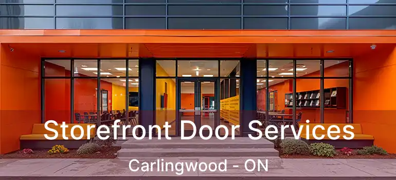  Storefront Door Services Carlingwood - ON