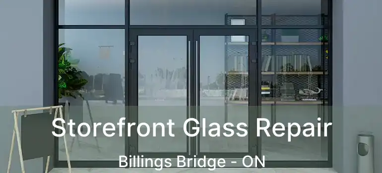 Storefront Glass Repair Billings Bridge - ON