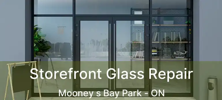 Storefront Glass Repair Mooney s Bay Park - ON