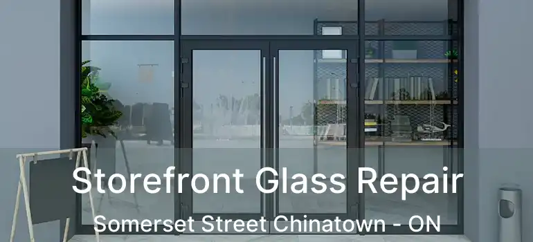  Storefront Glass Repair Somerset Street Chinatown - ON