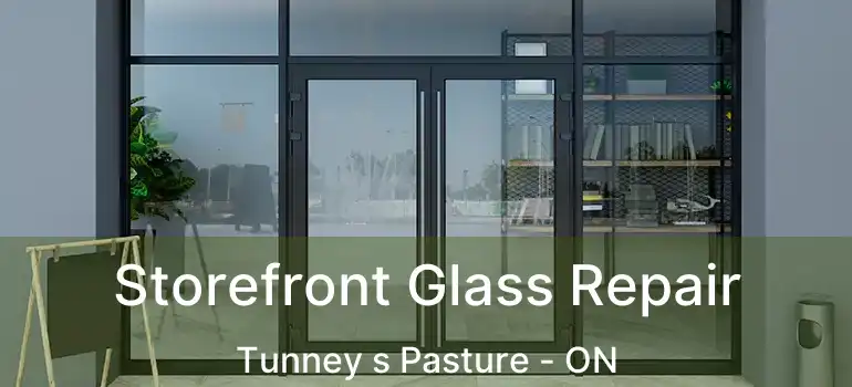 Storefront Glass Repair Tunney s Pasture - ON