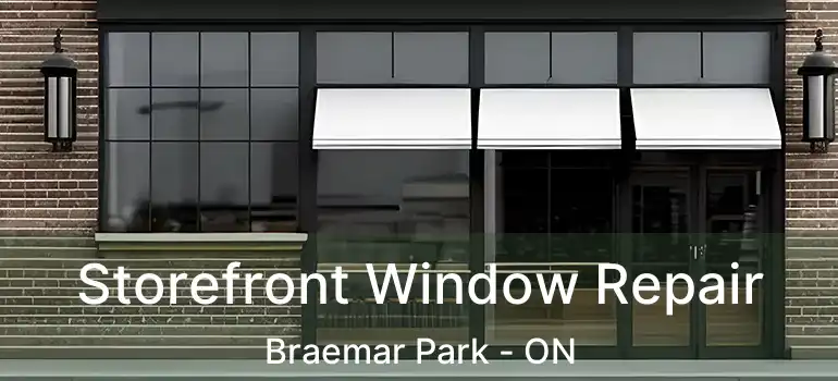 Storefront Window Repair Braemar Park - ON