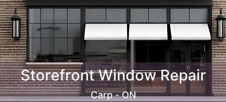  Storefront Window Repair Carp - ON