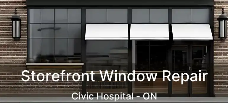 Storefront Window Repair Civic Hospital - ON