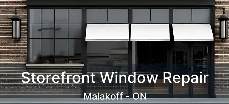 Storefront Window Repair Malakoff - ON