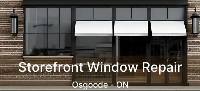 Storefront Window Repair Osgoode - ON