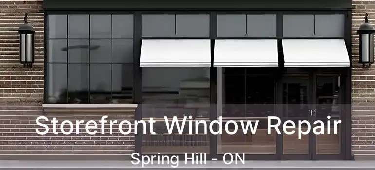  Storefront Window Repair Spring Hill - ON
