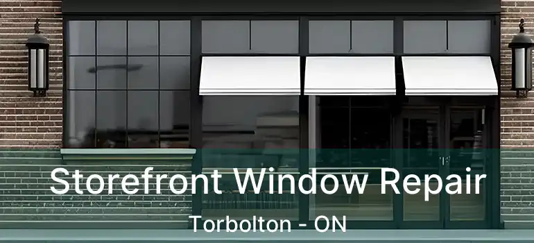 Storefront Window Repair Torbolton - ON