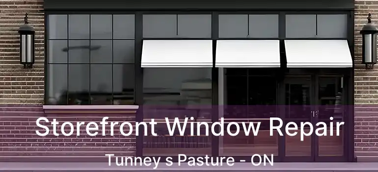 Storefront Window Repair Tunney s Pasture - ON