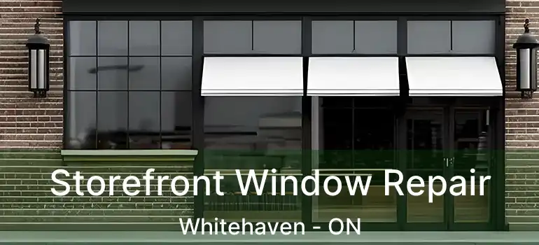Storefront Window Repair Whitehaven - ON